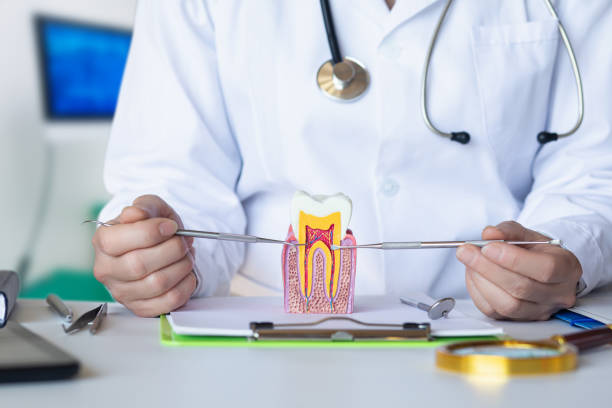 Best Orthodontic Emergency Dentist in Maple Heights, OH